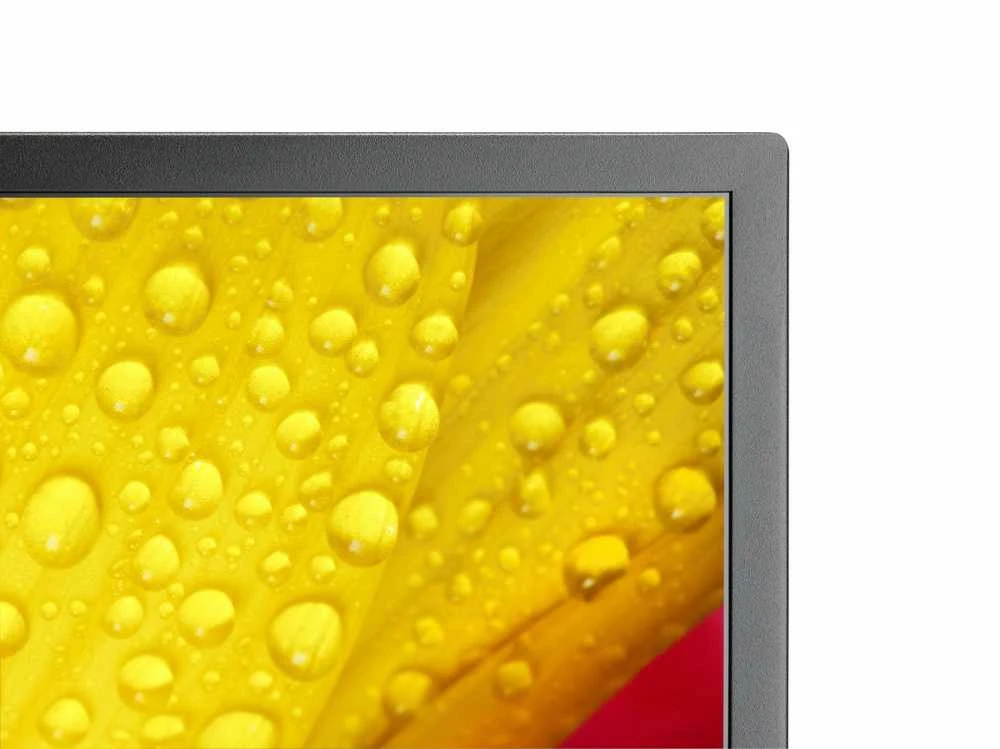 Monitorius NEC M651-2 65 colių UHD 500CD/QM - LED 24/7 SDM CM