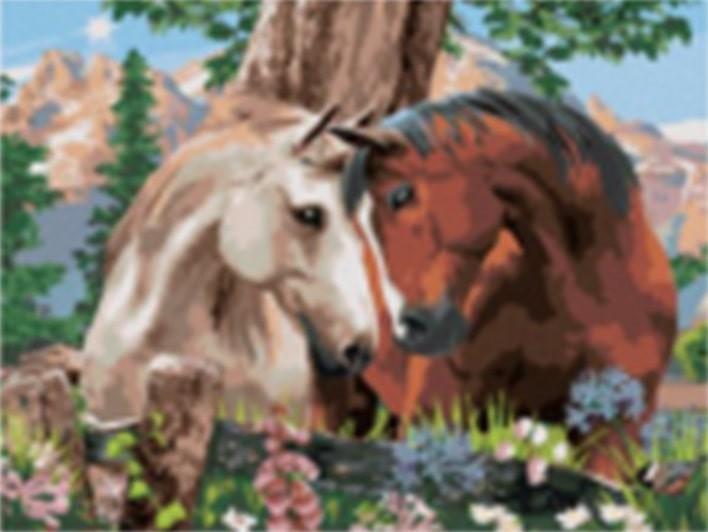 Norimpex Tapyba pagal numerius: Du arkliai 40x50 cm, rinkinys vaikams ir suaugusiems