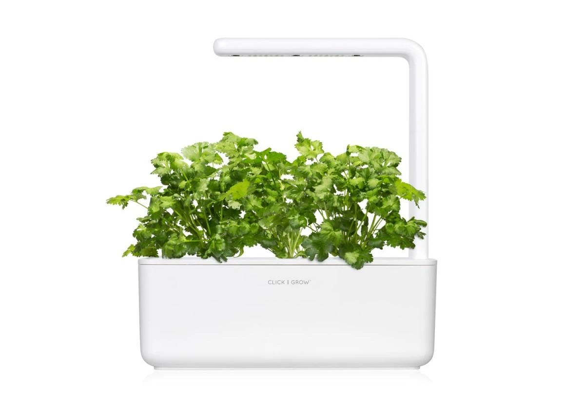 Išmanus namų sodas Click & Grow Smart Indoor Garden 3, baltas