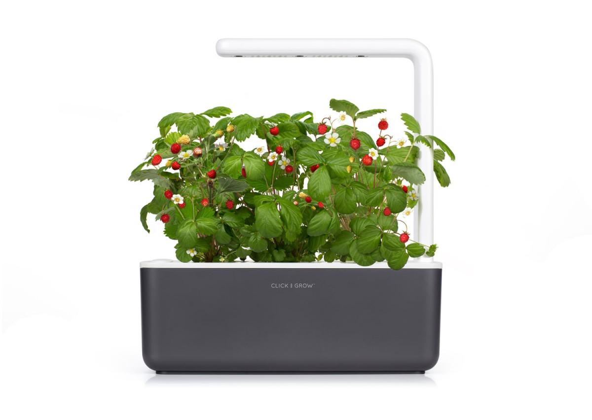 Išmanus namų sodas Click & Grow Smart Indoor Garden 3, pilkas
