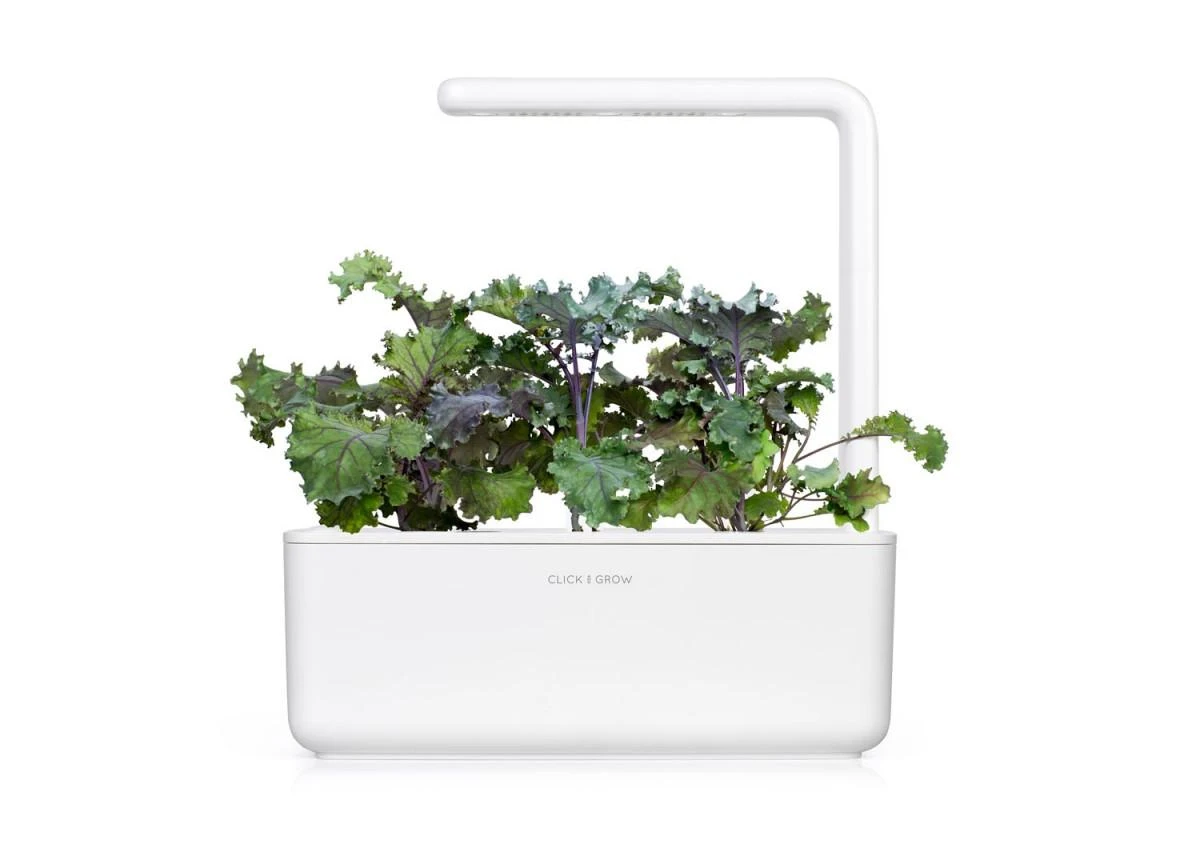 Išmanus namų sodas Click & Grow Smart Indoor Garden 3, baltas