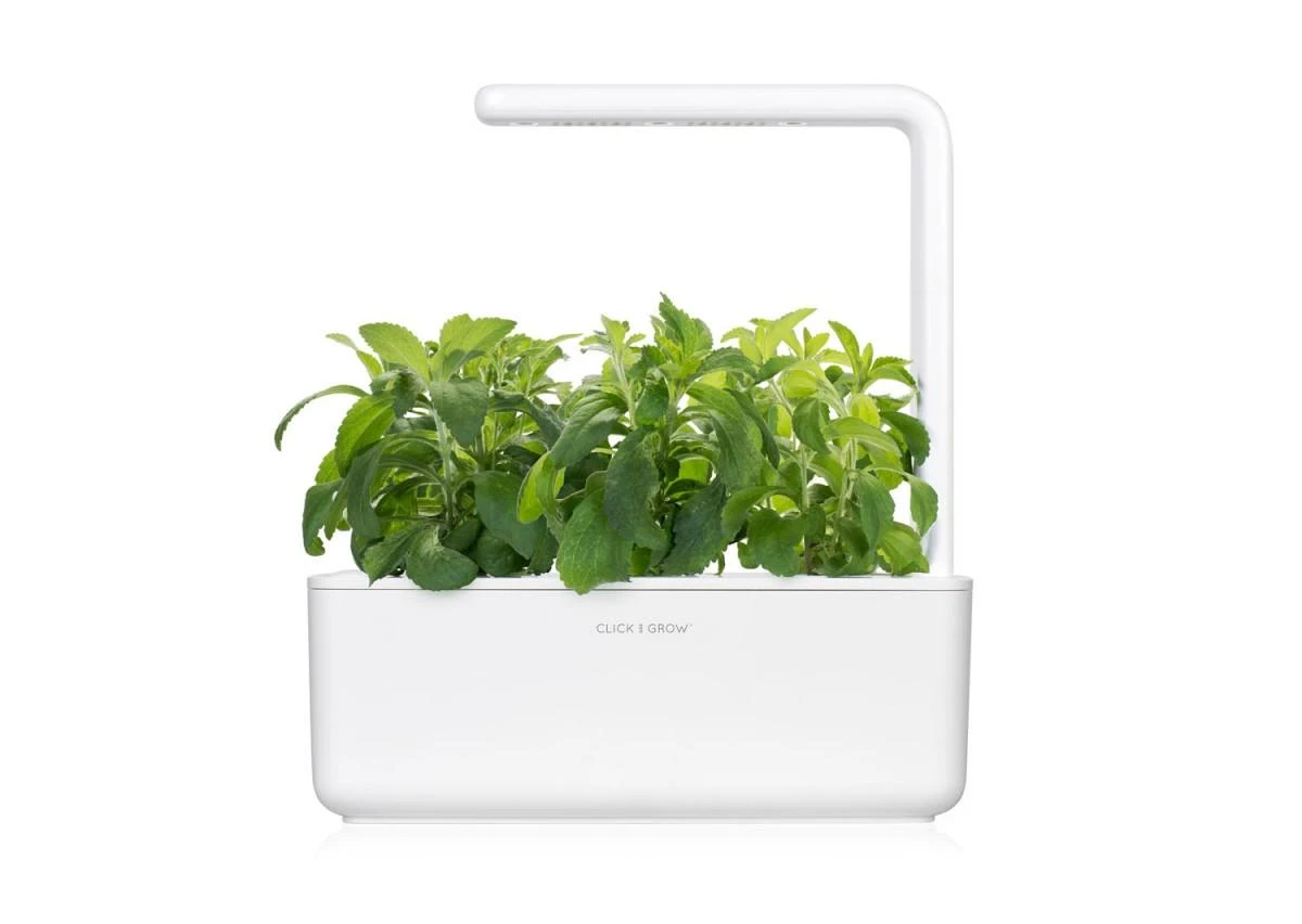 Išmanus namų sodas Click & Grow Smart Indoor Garden 3, baltas
