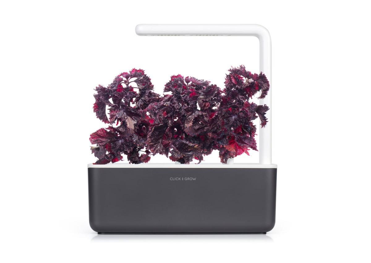Išmanus namų sodas Click & Grow Smart Indoor Garden 3, pilkas