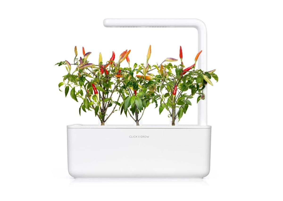 Išmanus namų sodas Click & Grow Smart Indoor Garden 3, baltas