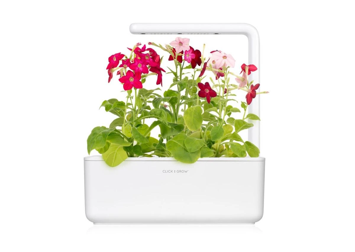 Išmanus namų sodas Click & Grow Smart Indoor Garden 3, baltas