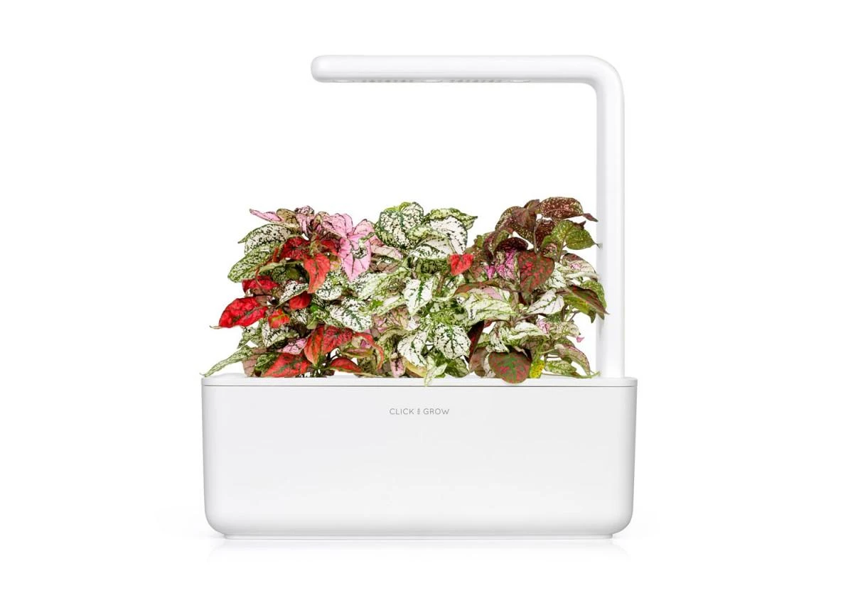 Išmanus namų sodas Click & Grow Smart Indoor Garden 3, baltas