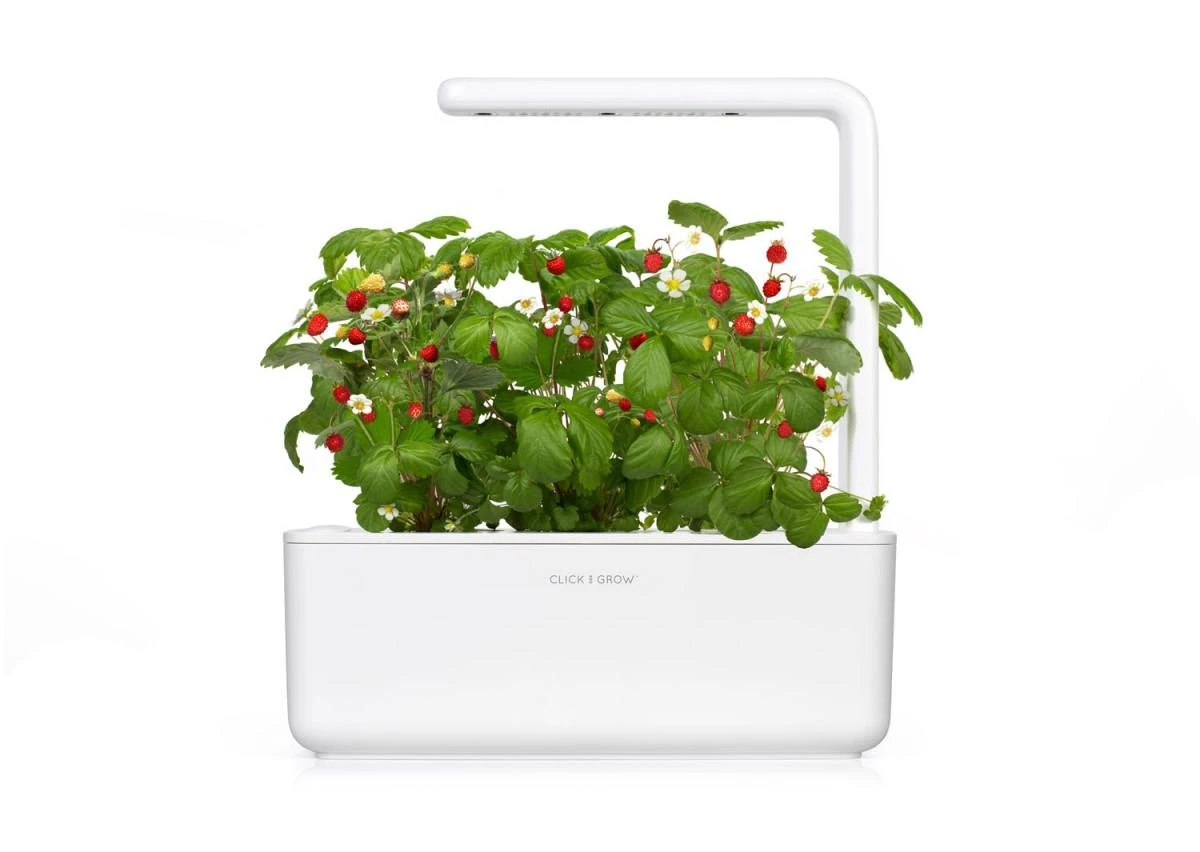 Išmanus namų sodas Click & Grow Smart Indoor Garden 3, baltas