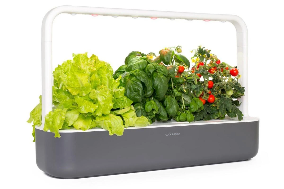 Išmanus namų sodas Click & Grow Smart Garden 9 (Pilkas) SG9