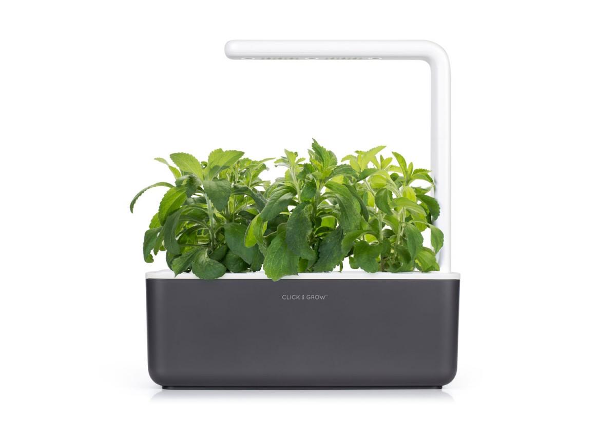 Išmanus namų sodas Click & Grow Smart Indoor Garden 3, pilkas