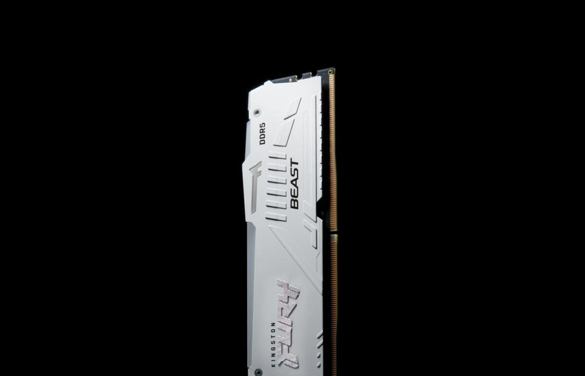 Kingston Fury Beast DDR5 atminties modulis baltas