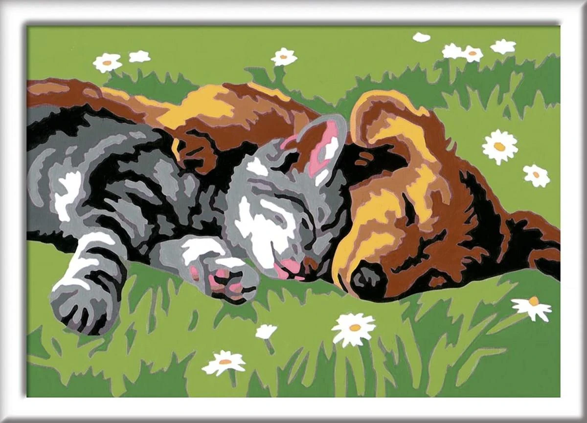Ravensburger CreArt spalvinimo knygelė vaikams.Miegantis kačiukas su šuniuku