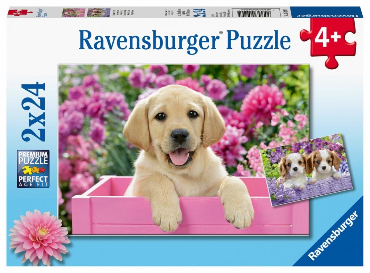 Ravensburger Dėlionė 2x24 vnt. - Šuniukai aprašymas - Prekės nuotrauka