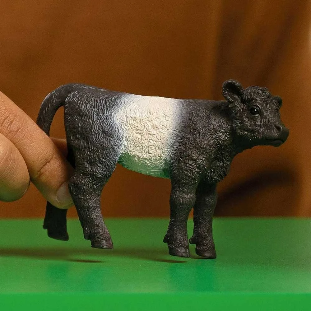 Schleich figūrėlė Galovėjaus veislės veršiukas