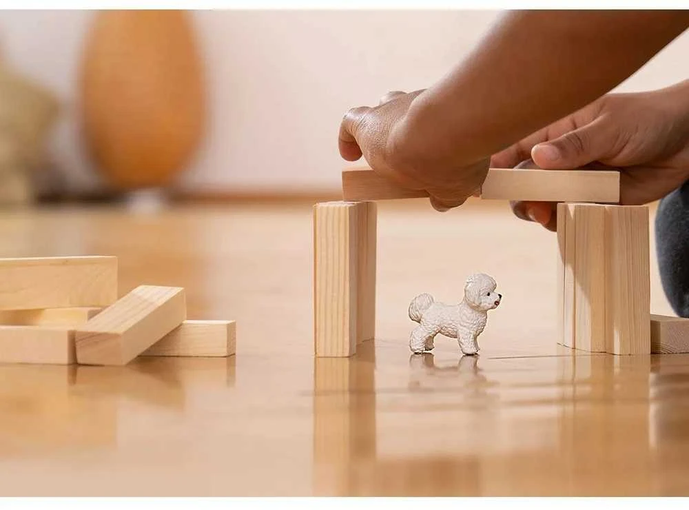 Schleich figūrėlė Garbanotasis bišonas