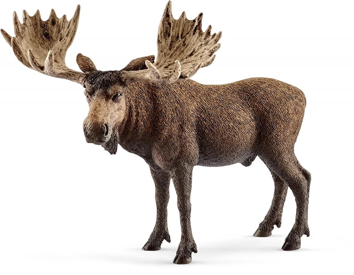 Schleich figūrėlė Briedis, patinas