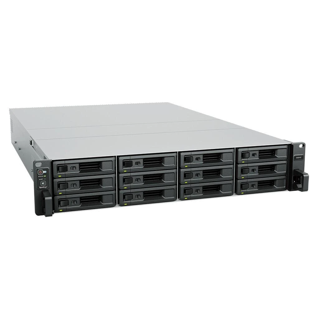 Serveris Synology SA3410