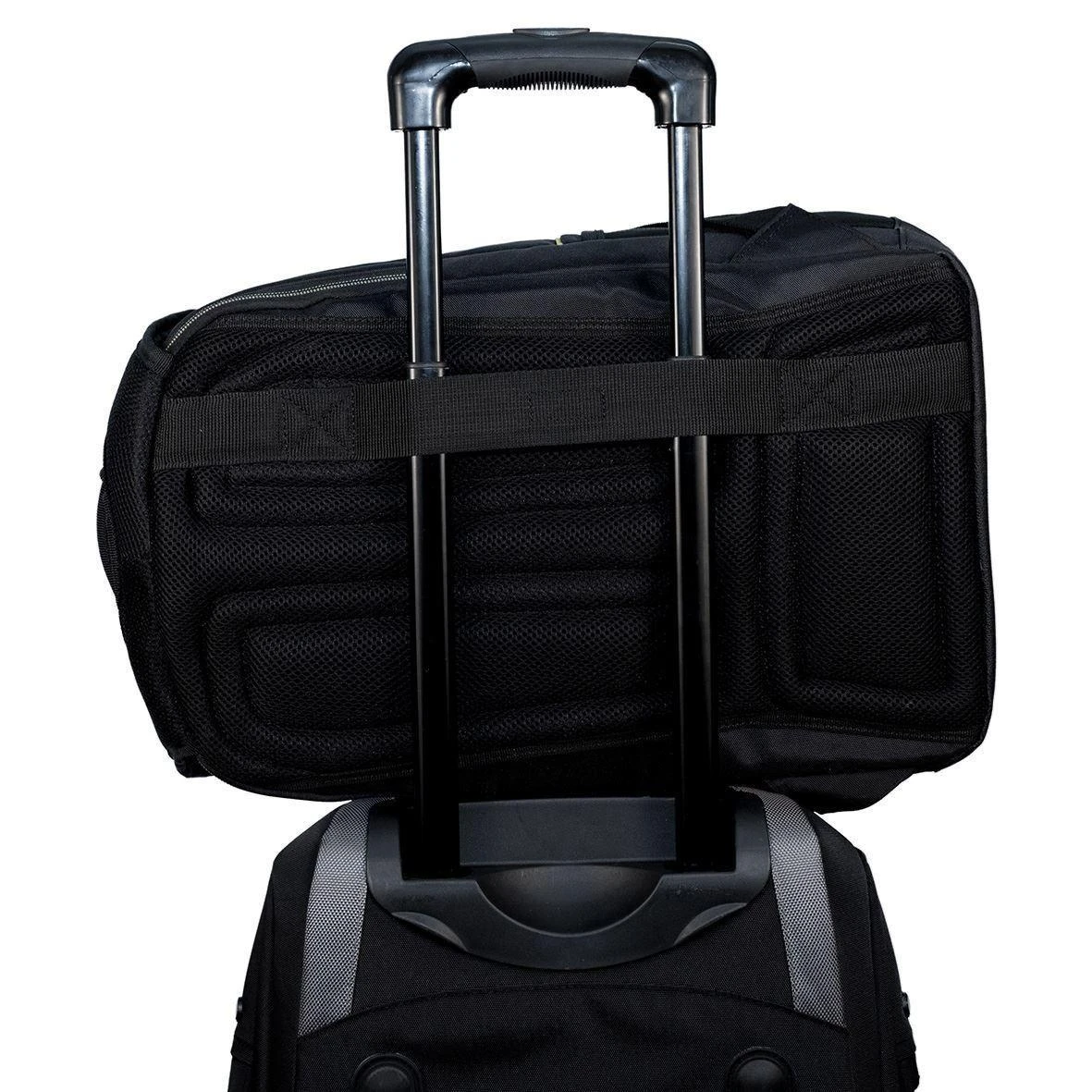 TARGUS CITYGEAR 14" LAPTOP BACKPACK Juodas