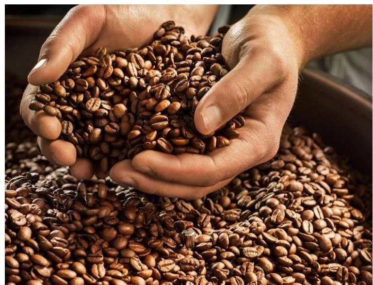 Kavos pupelės Tchibo Barista Caffè Crema, 1kg