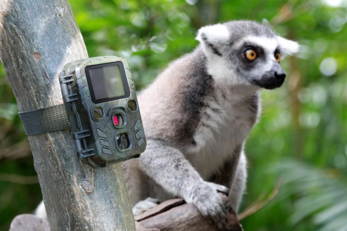 Foto medžioklės kamera Technaxx Mini Nature Wild Cam TX-117