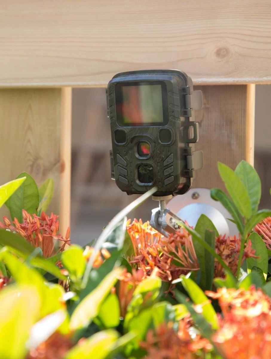 Foto medžioklės kamera Technaxx Mini Nature Wild Cam TX-117