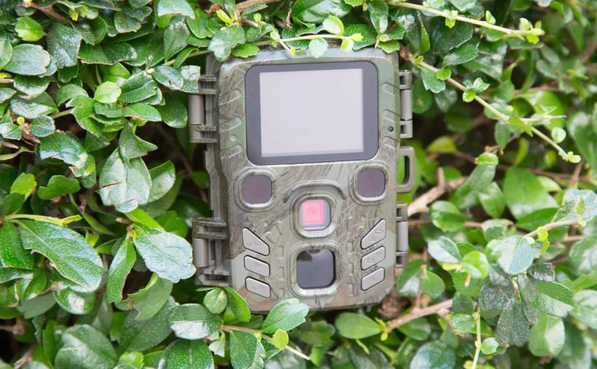 Foto medžioklės kamera Technaxx Mini Nature Wild Cam TX-117