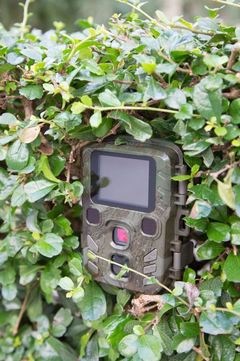 Foto medžioklės kamera Technaxx Mini Nature Wild Cam TX-117