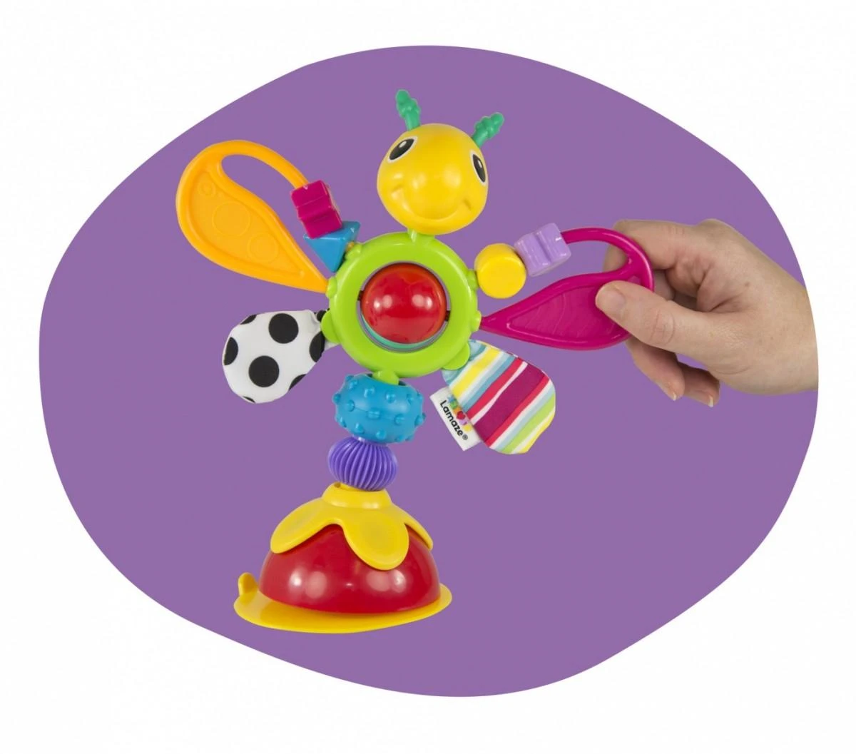 Tomy Lamaze - Fredis, jonvabalis, stalo žaislas (941-272431)
