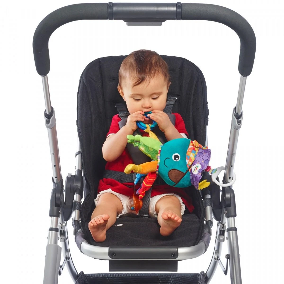 LAMAZE pakabinamas žaislas Kapitonas Kalmaras, LC27068