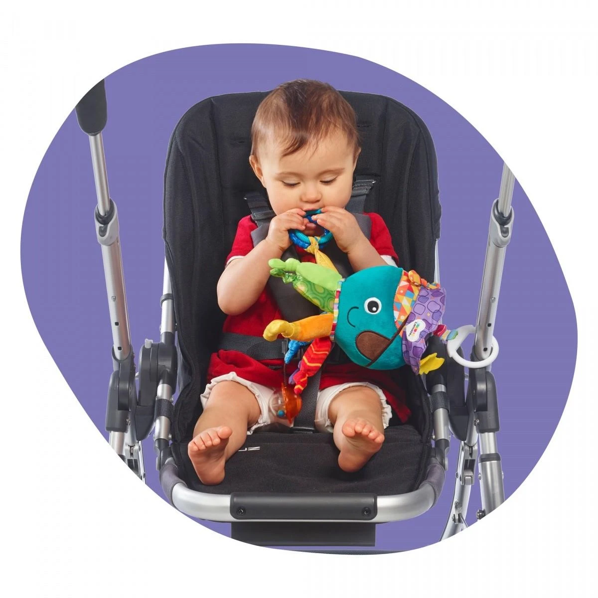 LAMAZE pakabinamas žaislas Kapitonas Kalmaras, LC27068