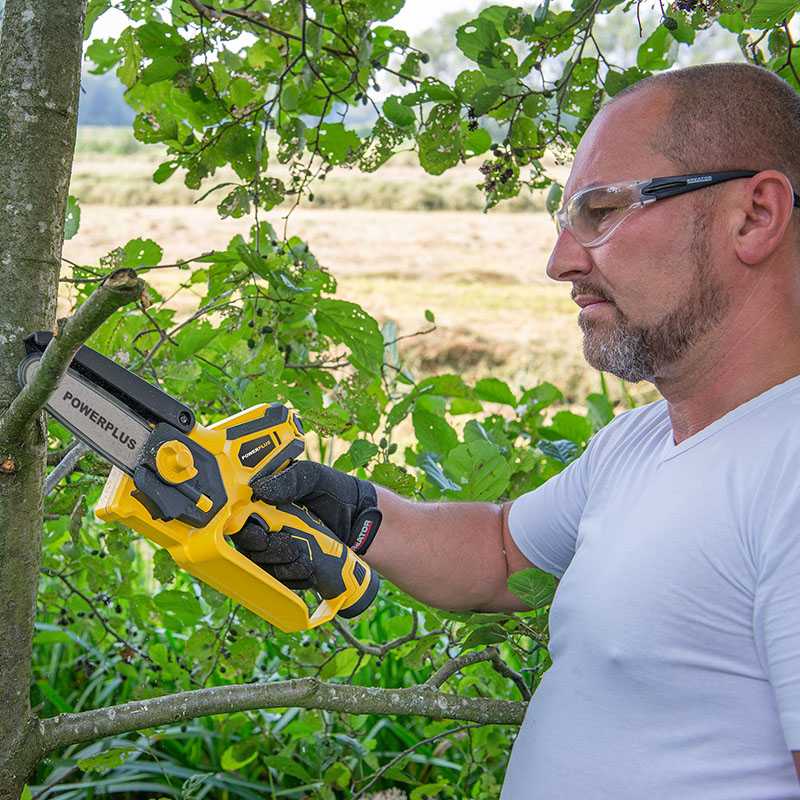 Grandininis pjūklas Grandininis genėjimo pjūklas su baterijomis ir krovikliu 2x2.0Ah POWXG1045 POWERPLUS