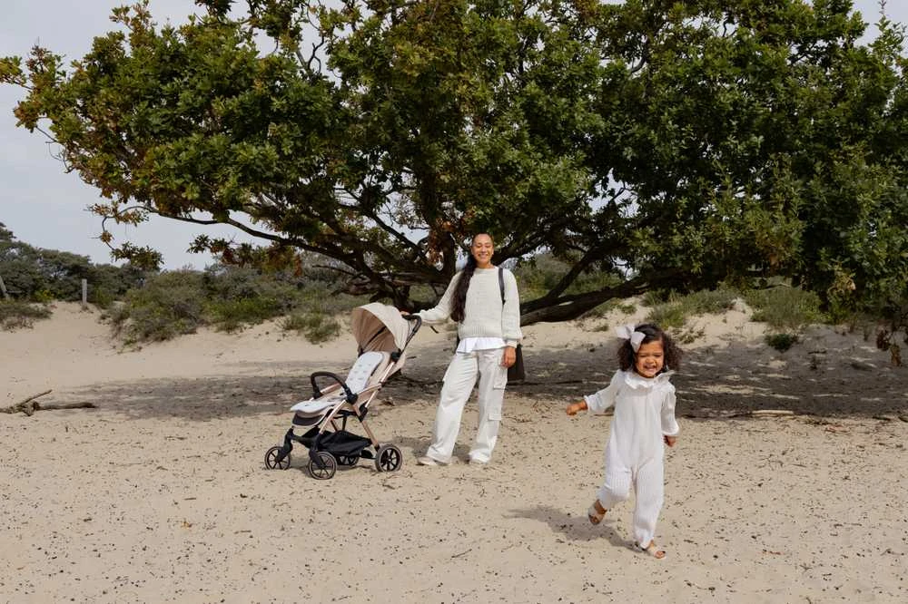 Leclerc Baby Vežimėlis Leclercbaby Influencer XL