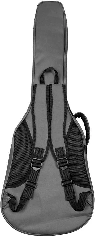 Akustinė gitara Cascha Performer Series CGA300, natūrali