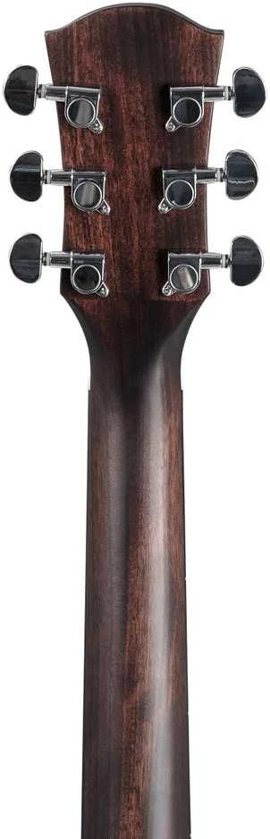 Akustinė gitara Cascha Performer Series CGA300, natūrali