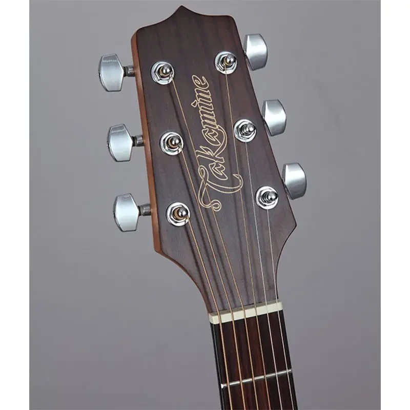 Akustinė gitara Takamine GD11M-NS