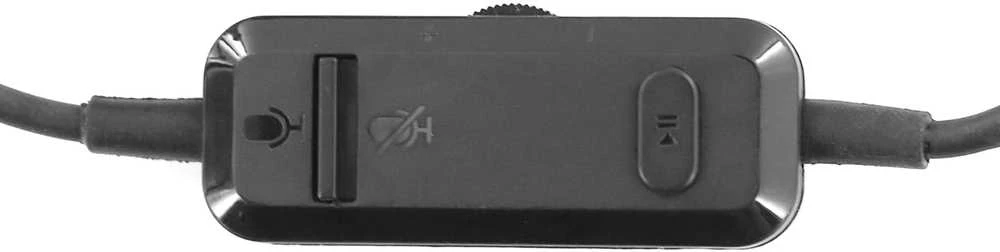 Ausinės Plugger Studio DJH40-M