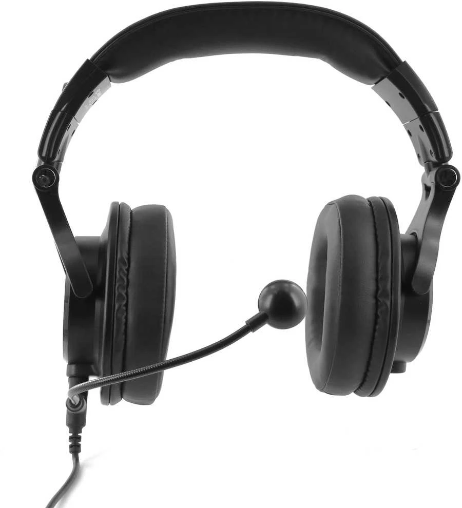 Ausinės Plugger Studio DJH40-M