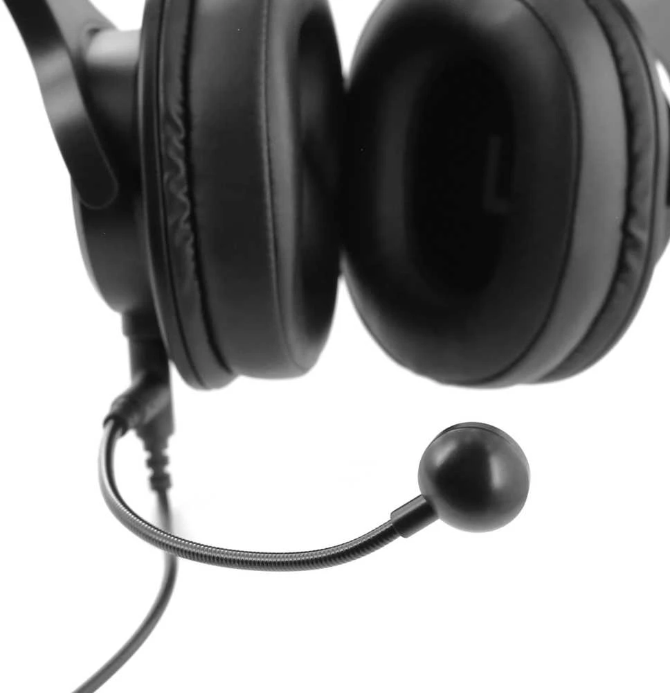 Ausinės Plugger Studio DJH40-M