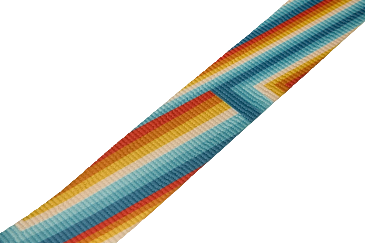 Diržas gitarai Fender Retro Rainbow Strap