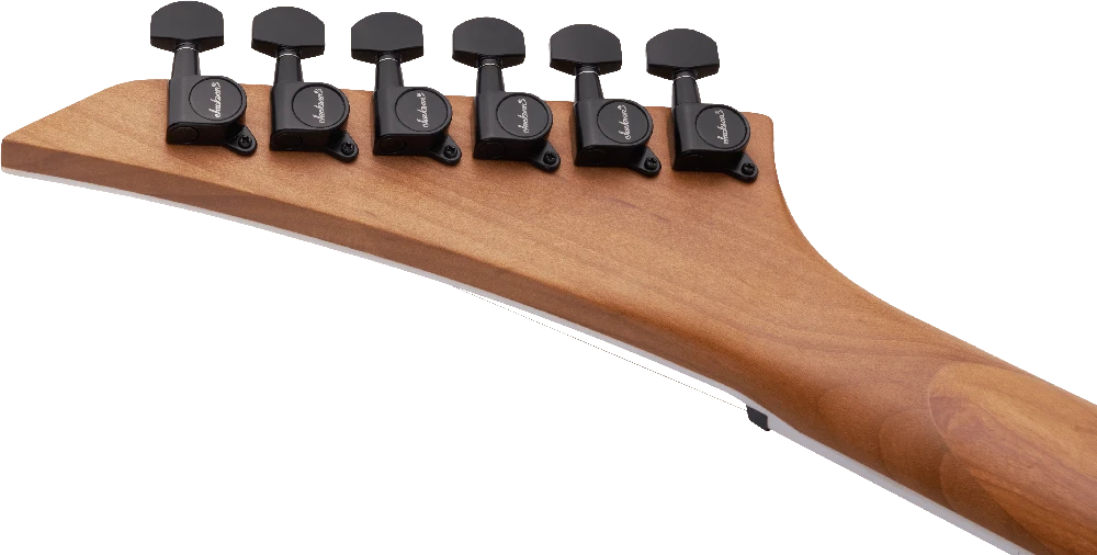 Elektrinė gitara Jackson Dinky JS24 DKAM juoda taškuota