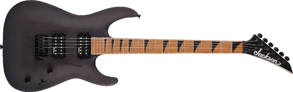 Elektrinė gitara Jackson Dinky JS24 DKAM juoda taškuota