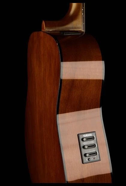 Elektro-akustinė gitara Yamaha FX310AII NT