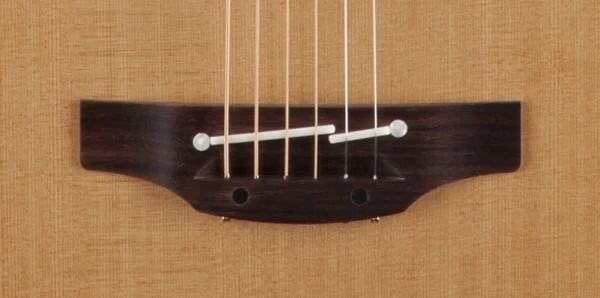 Elektroakustinė gitara Takamine P3DC natūrali
