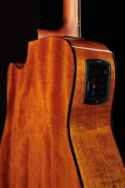 Elektroakustinė gitara Yamaha FGX800C NT II