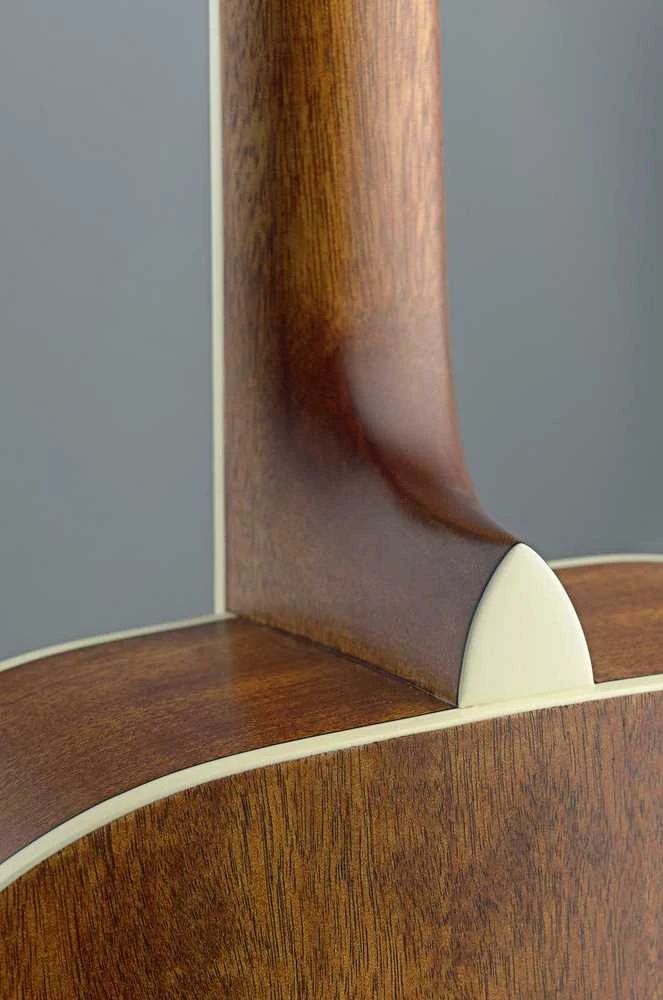 Jn Guitars Akustinė gitara James Neligan ASY-D