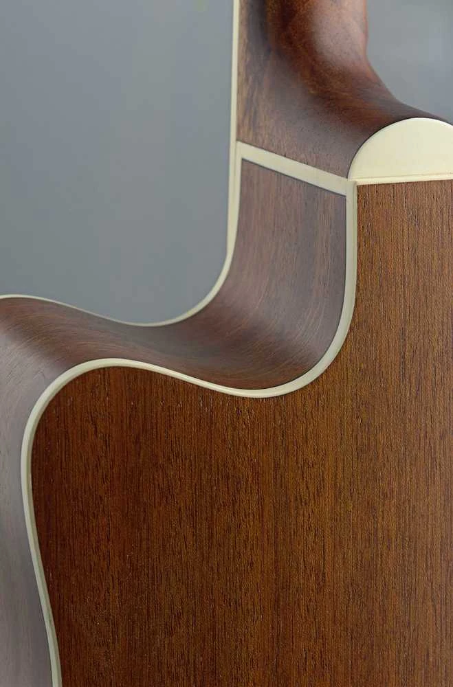 Jn Guitars Elektro-akustinė gitara James Neligan ASY-DCE