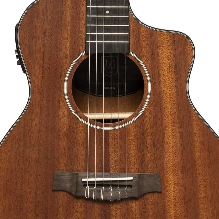 Jn Guitars Elektro-klasikinė gitara James Nelighan OLO-CE N