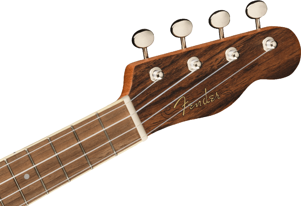 Koncertinė ukulelė Fender Zuma Exotic Bocote