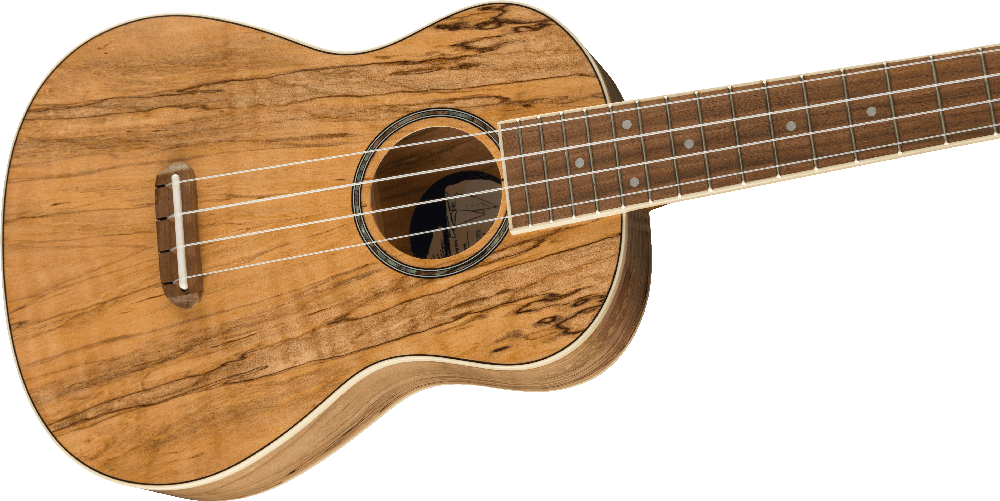 Koncertinė ukulelė Fender Zuma Exotic, natūralaus klevo spalva