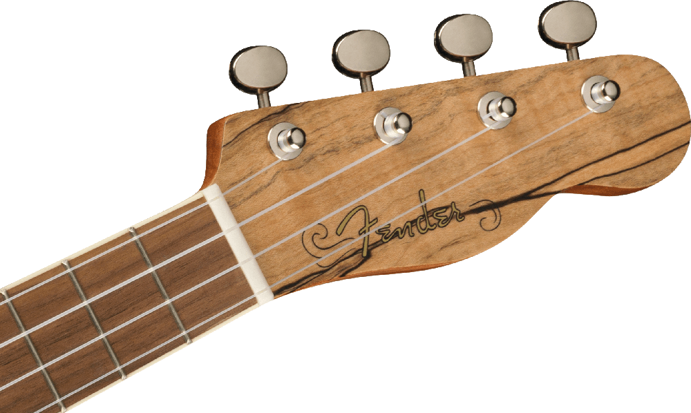Koncertinė ukulelė Fender Zuma Exotic, natūralaus klevo spalva