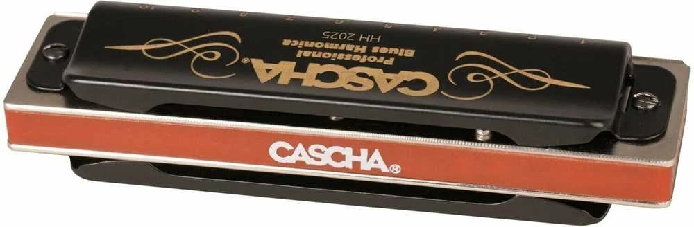 Lūpinių armonikėlių komplektas C-G-A Cascha Professional HH 2343
